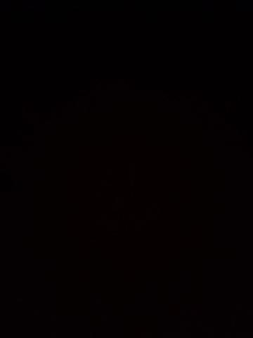 Дина Элит Компаньонка фото 2